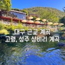 성주로 | 대구 근교 계곡, 경북 고령 성주 상비리계곡 상세 후기
