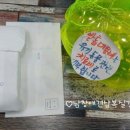 남창애견샵 복실강아지 이미지