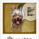 더더더 고기마을