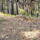 상석농장 이미지