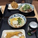 르노삼성자동차서비스코너 우동점 | 잠실 롯데월드몰 맛집 마루가메 우동 후기(냉우동)