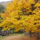 동활리마을회관 이미지