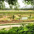 안양천서로 중앙일보