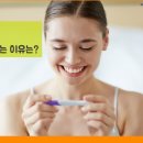 라라올라 이미지