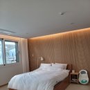 스테이 담아 이미지