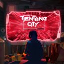강남-085 | #085 서울 강남 방탈출 : 비트포비아 던전스텔라점 티엔탕시티 TIENTANG CITY 후기 / 꽃밭길 테마