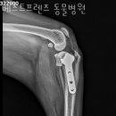 베스트 프렌즈 동물병원 이미지