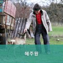 혜주원 요양원 | 제주시요양원,월평동요양원 혜주원 안심하고 맡길 수 있는