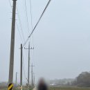 해미종합시장 | 서산 당일치기 급여행 일정 완벽정리! | 로드트립 해미읍성 수덕사