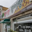 멍석 민박 이미지