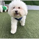 멍세권