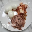 피티찬스 | 경기광주 양벌동헬스 더찬스짐 피티맛집 체험 찐 후기