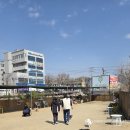 폴인80