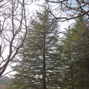 김천컨벤션웨딩뷔페 이미지