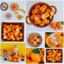 금동농장 이미지