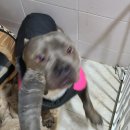 더야무지개 이미지