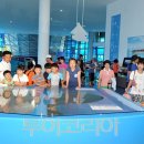 삼학도 요트마리나 인근 이미지