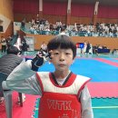 산새소리유치원 | 파머스드림태권도 이사장배 경성태권도 겨루기 특성화반 출전후기