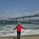 정동진역 이미지