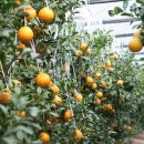 서경식농장 이미지