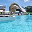 모텔행복비치 | 아이랑 간 짱구 비치클럽, 선셋맛집 발리의 이비자 '카페 델 마(Cafe Del Mar)'