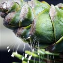 주식회사 스텝스인 이미지