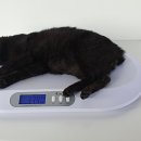 표선동물병원 이미지