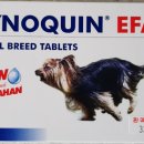 봄나래동물병원 이미지