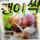 카페찬미농장 팽이싹 [달팽이를 잡아요 ]5000원 이미지