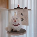 나산패션마트 | 다시 시작하는 주간일기