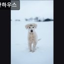 개편한하우스 이미지