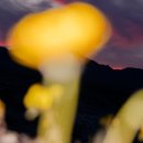 TO PC ZONE 이미지