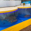 한라수산 이미지