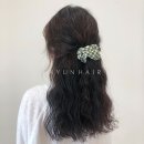 라윤 이미지