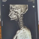 황종대정형외과 이미지