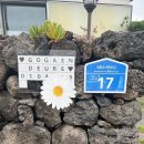 고갠드르법환 | 제주 올레7코스 법환포구 솔직후기