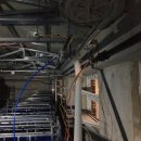 장수양돈 이미지