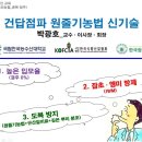 건답점파 원줄기농법 신기술 농업인 교육_충북 청주 옥산농협 이미지