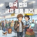 탄방포도알약국 | 미국 반입 금지 물품 정리! 식품 라면 약 리스트