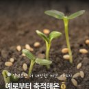 [뮤지엄 이음-전시]한국토종씨앗박물관·유이당 <예산, 씨앗으로 이야기하다> | ~2026년 11월 30일