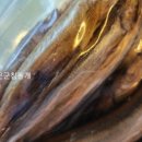 군침돌개 이미지