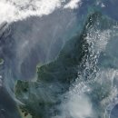 프라자동물병원 이미지