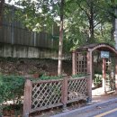 강남-153 이미지