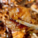 오!왕서방 | 시흥시청 맛집 오 왕서방 장현동 중식당 추천