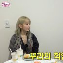 르세라핌 사쿠라의 직업병 이미지