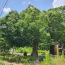 화북면보건지소 이미지