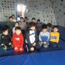 용인대 라이온 태권도장 이미지