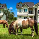 원원펜션 이미지