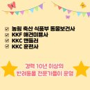 퍼피루미 이미지