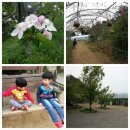 그린토피아 | 최고의 농촌체험장<양평 그린토피아> 체험후기